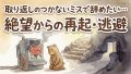 IMG 5189